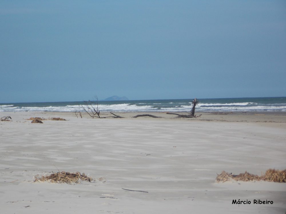 De novo: Lixo internacional é encontrado em praia paradisíaca de Peruíbe