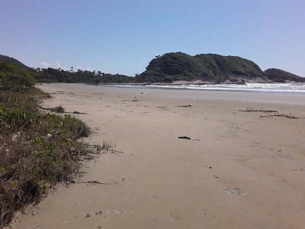 onde é gravado se sobreviver case