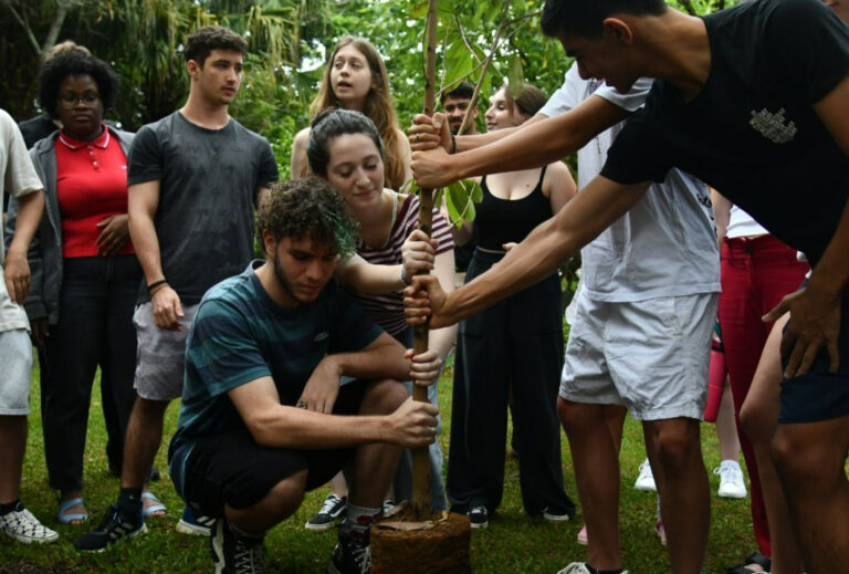 Dia da Árvore: escola em São Paulo mantém bosque com 1,3 mil árvores e transforma natureza em sala de aula